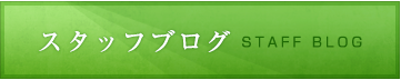 スタッフブログ